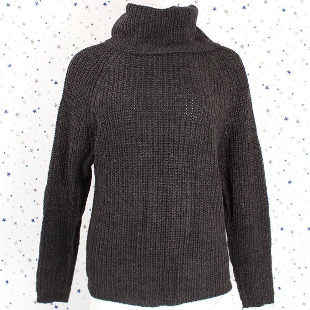 Raglan Long Sleeve Turtle Neck Knit Sweater (Char)